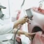 Why Regular Car Polishing Extends Your Vehicle’s Life